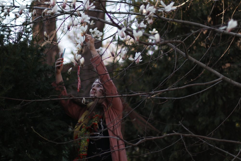 В ботсаду Фомина в Киеве зацвели первые магнолии: фоторепортаж 5