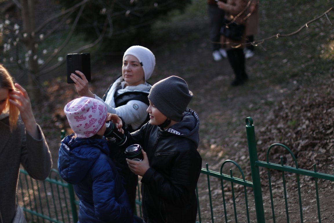 В ботсаду Фомина в Киеве зацвели первые магнолии: фоторепортаж 15