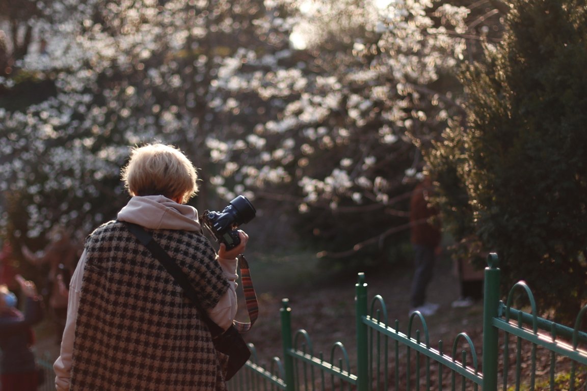 В ботсаду Фомина в Киеве зацвели первые магнолии: фоторепортаж 16