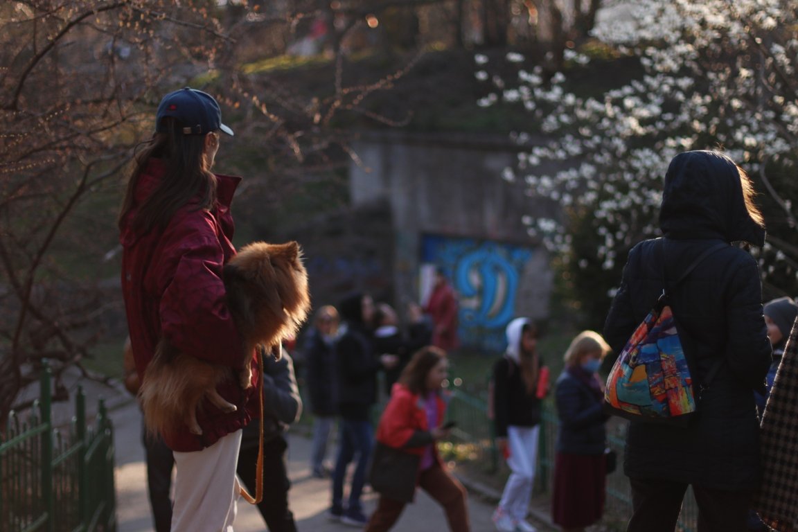 В ботсаду Фомина в Киеве зацвели первые магнолии: фоторепортаж 17