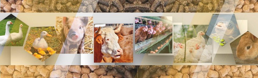 Сергей Полумысный рассказал о достижениях компании “НОВАКОРМ” 1