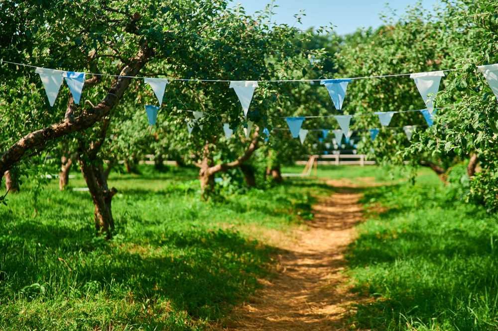 Лето направляется в Киев: какие локации начнут работать на ВДНГ 16