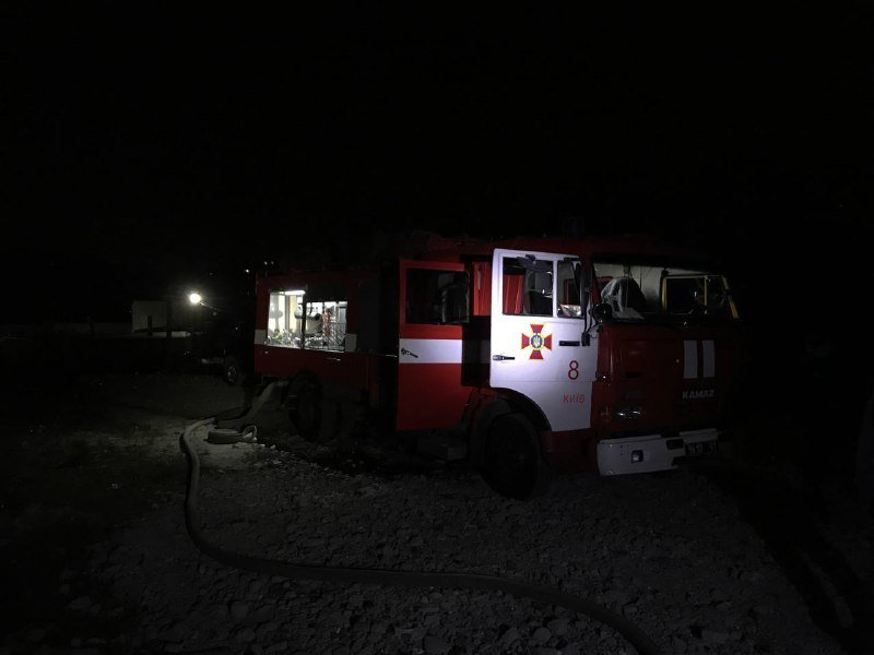 В Киеве загорелся приют для собак 2