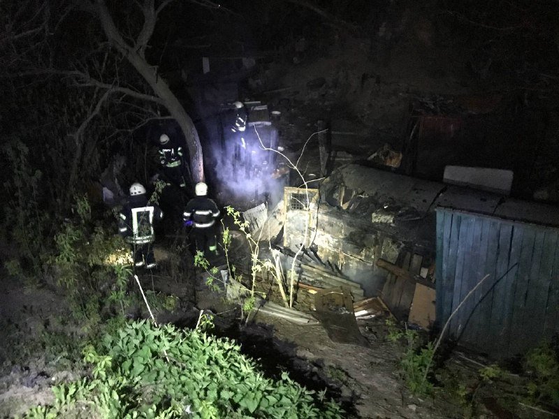 В Киеве загорелся приют для собак 5