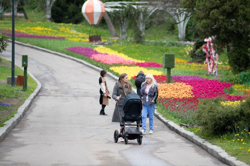 В Киеве открыли ежегодную выставку с более 700 000 тюльпанов: где сделать яркие фото 4