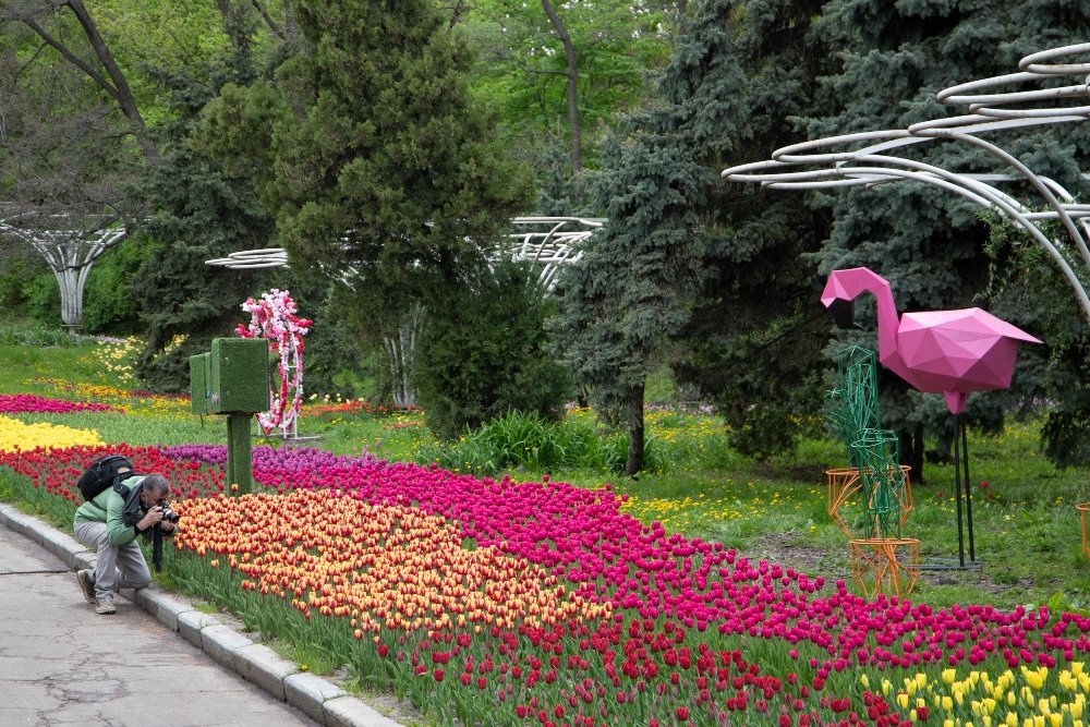 В Киеве открыли ежегодную выставку с более 700 000 тюльпанов: где сделать яркие фото 11
