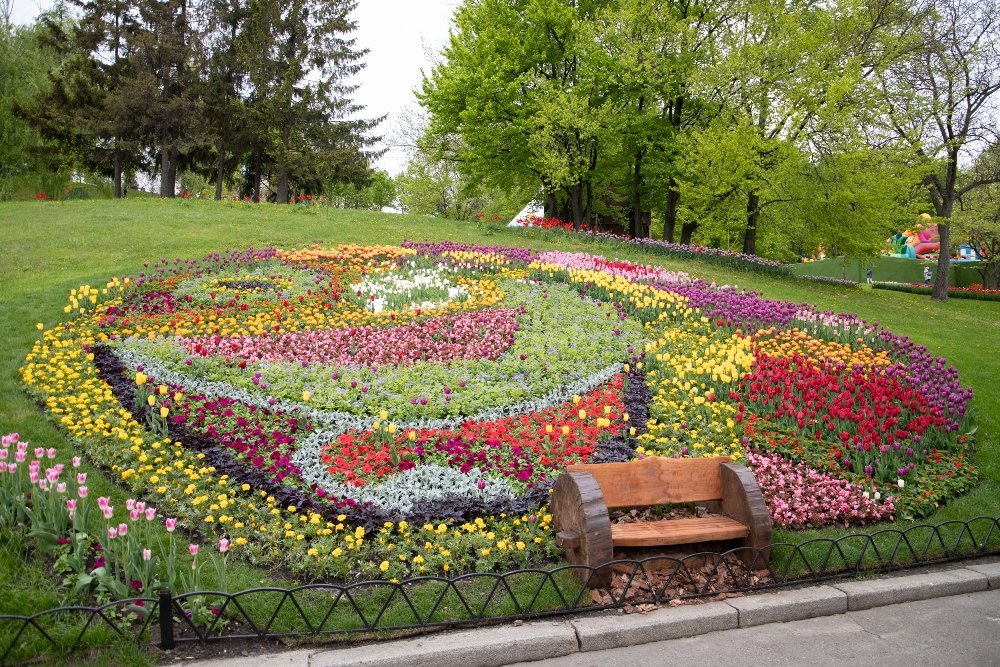 В Киеве открыли ежегодную выставку с более 700 000 тюльпанов: где сделать яркие фото 13
