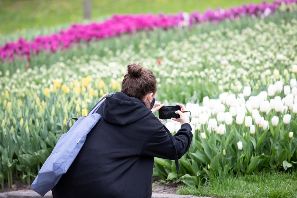 В Киеве открыли ежегодную выставку с более 700 000 тюльпанов: где сделать яркие фото 14