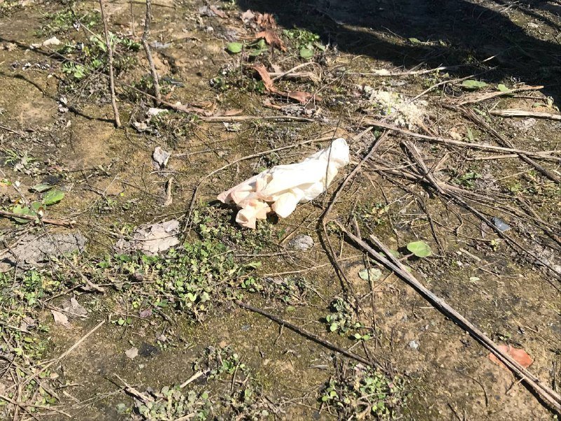 В Киеве нашли сумку с обезглавленным телом человека: первые подробности, фото и видео с места происшествия 4