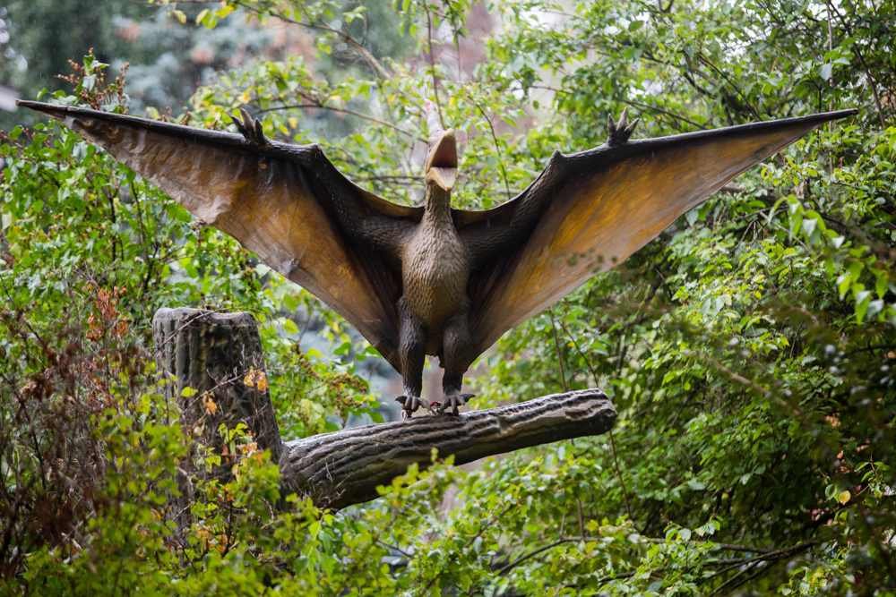 В Киеве на ВДНГ открывается масштабная выставка динозавров: когда и сколько стоят билеты 3