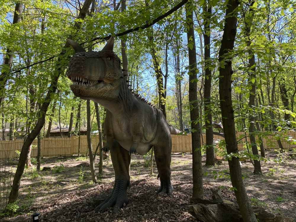 В Киеве на ВДНГ открывается масштабная выставка динозавров: когда и сколько стоят билеты 4