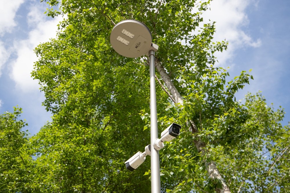 «Озеро Лебединое» на Позняках: как в Киеве проходит капремонт фитнес-парка 6