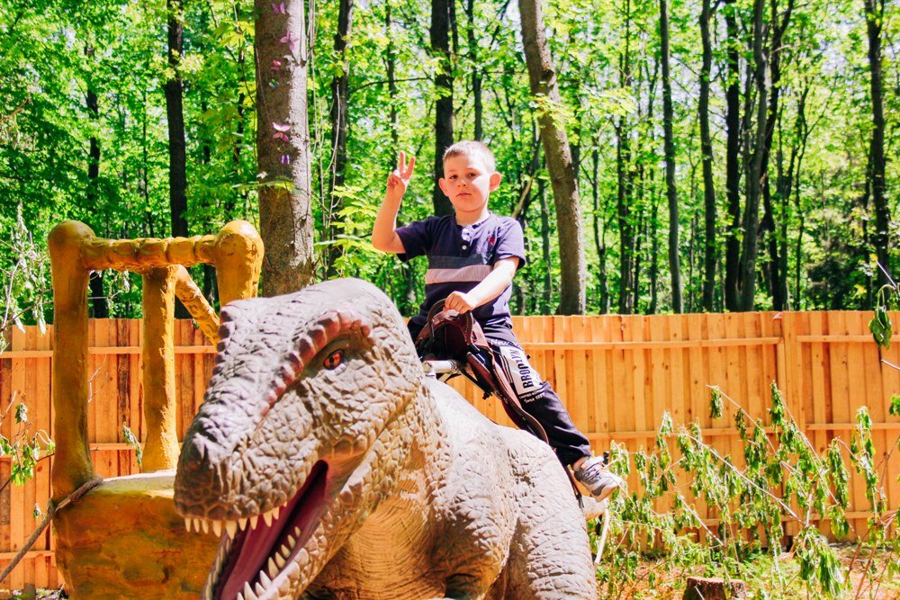 Куда пойти с ребенком в Киеве: 5 особенностей выставки-парка «Планета динозавров» на ВДНГ 5