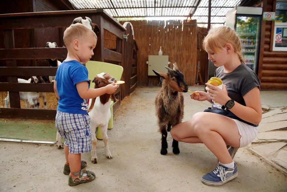 Куда пойти с ребенком на выходных в Киеве: локации, развлечения и цены на ВДНГ 5
