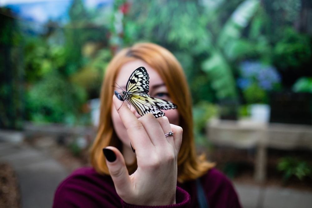 Фестиваль тату, MotoOpenFest, яркие локации для отдыха с детьми: куда пойти в Киеве на выходных 13