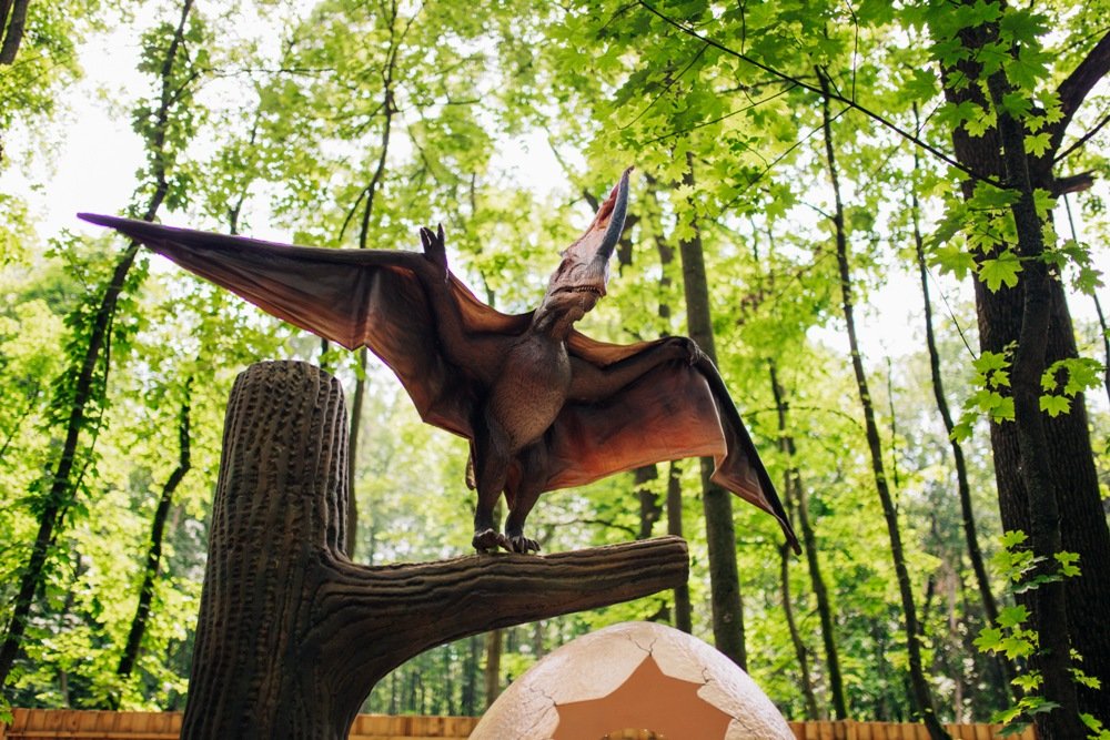 Привет, длинные выходные. 5 вариантов, как провести викенд на ВДНГ 4