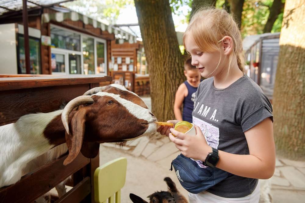 Kyiv Beer Festival, футбол на большом экране и семейный релакс: куда пойти в Киеве на выходых 16