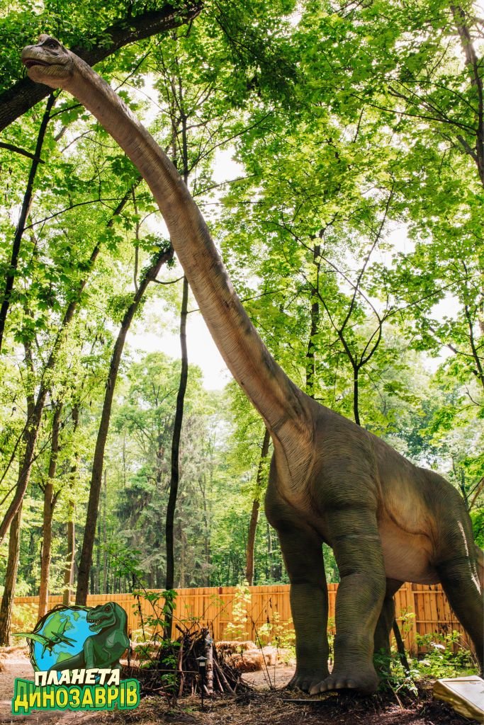 Грозные хищники и гигантские травоядные. Кого можно встретить в «Планете динозавров» на ВДНГ 2