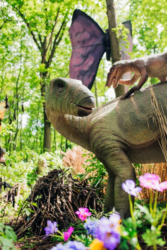 Грозные хищники и гигантские травоядные. Кого можно встретить в «Планете динозавров» на ВДНГ 5