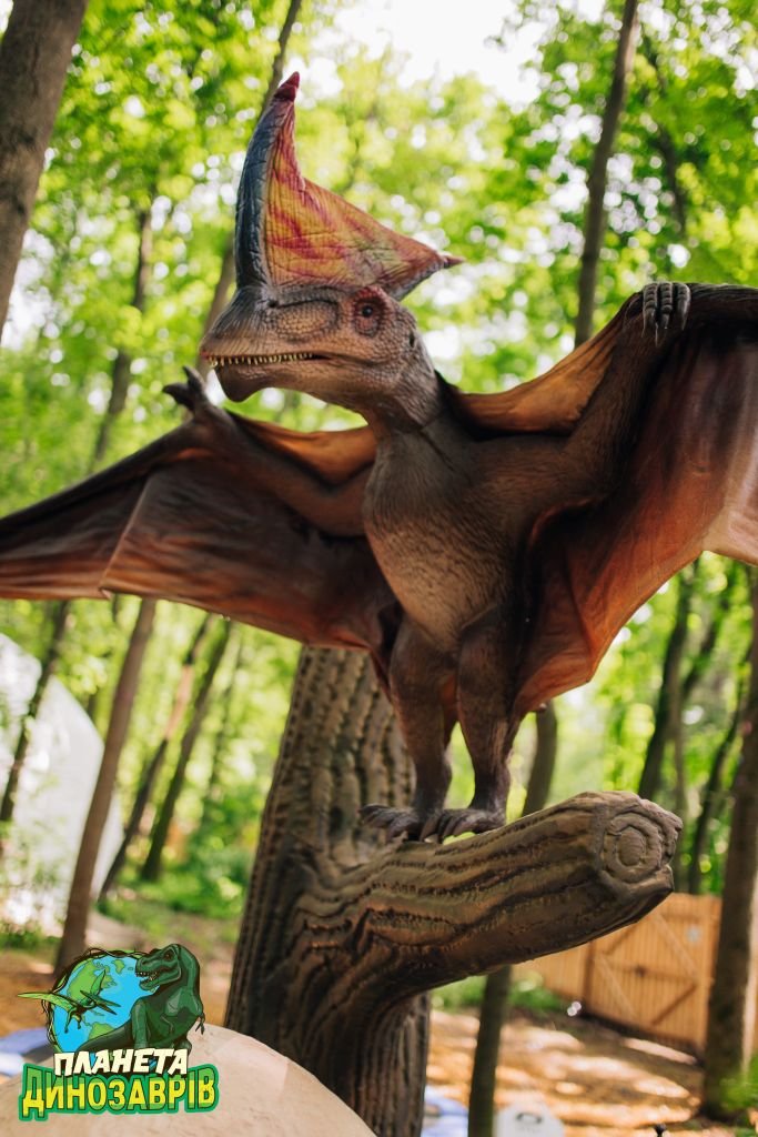 Грозные хищники и гигантские травоядные. Кого можно встретить в «Планете динозавров» на ВДНГ 6