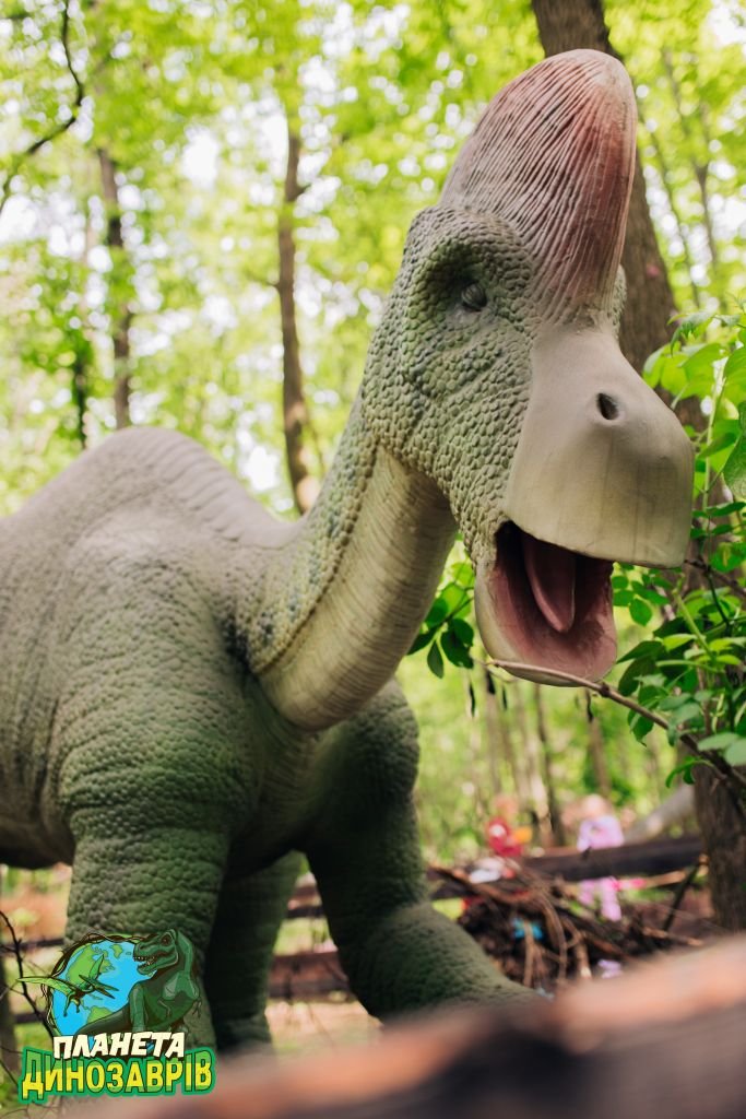 Грозные хищники и гигантские травоядные. Кого можно встретить в «Планете динозавров» на ВДНГ 8