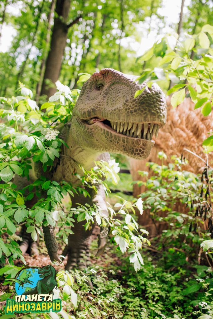 Грозные хищники и гигантские травоядные. Кого можно встретить в «Планете динозавров» на ВДНГ 12