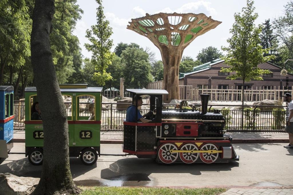 В День слона в киевском зоопарке обновили летний вольер: как он выглядит и что изменилось 2