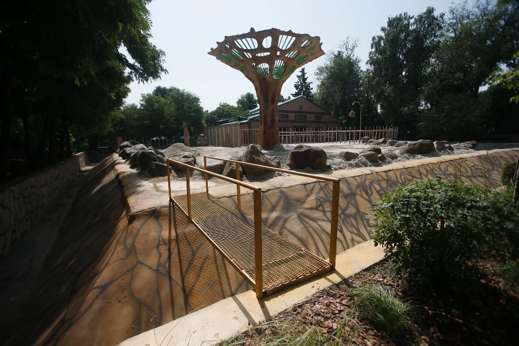 В День слона в киевском зоопарке обновили летний вольер: как он выглядит и что изменилось 7