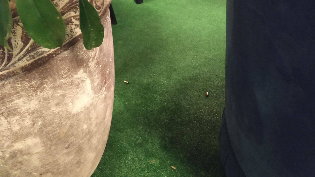 Стрельбу в ресторане SHEF устроил пьяный дончанин: подробности ночного происшествия в Голосеевском районе 2