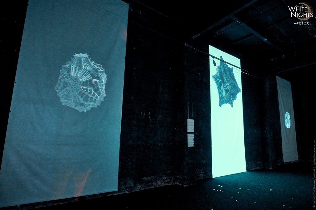 Африка посреди Киева: какими запомнился последний летний White Nights Festival. Africa 6