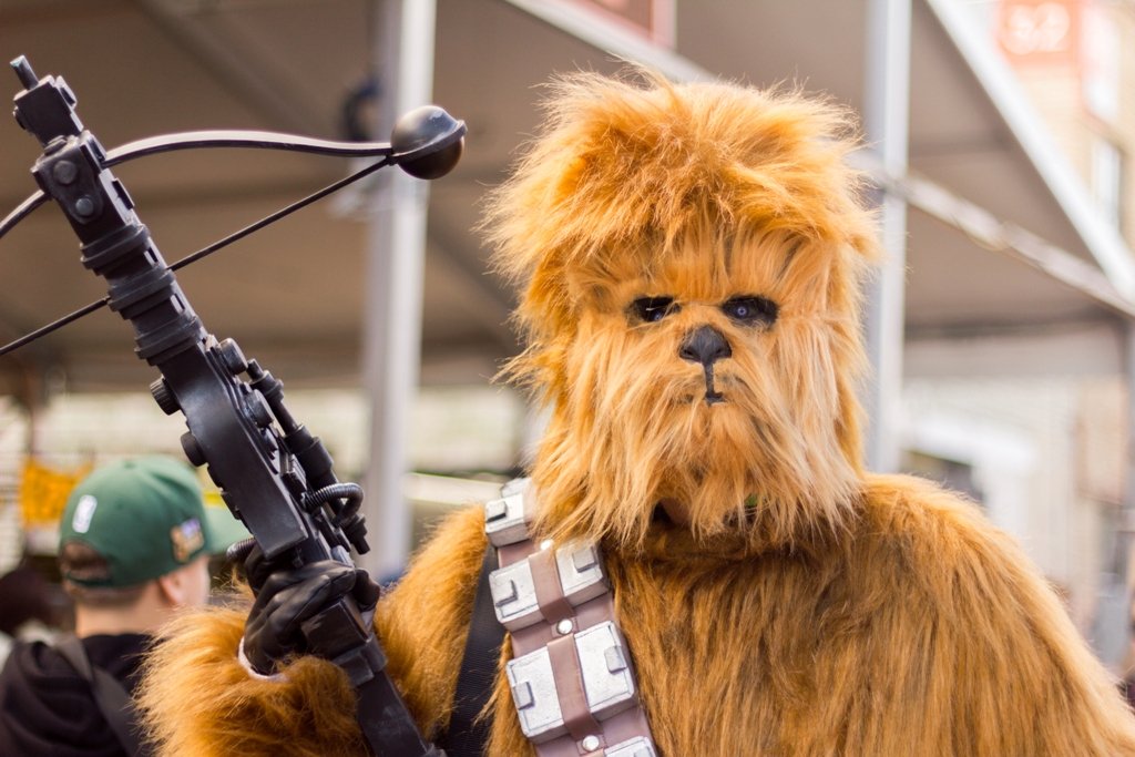 Фото: Алина Сторож