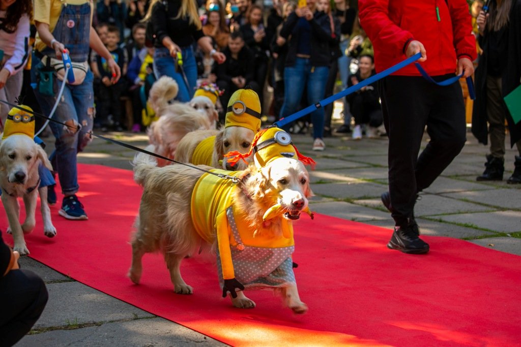 Фото: Кирило Ємцов