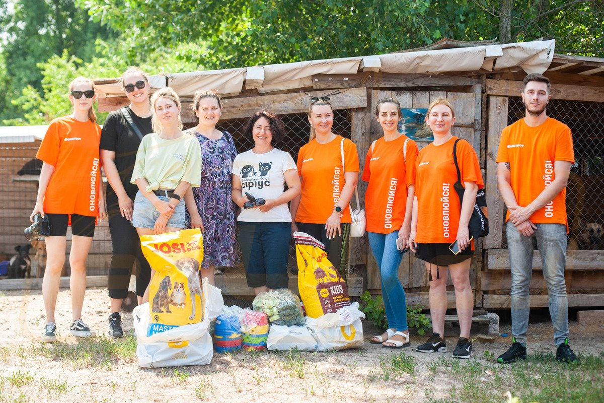 Как животным из приютов помогают найти дом 3