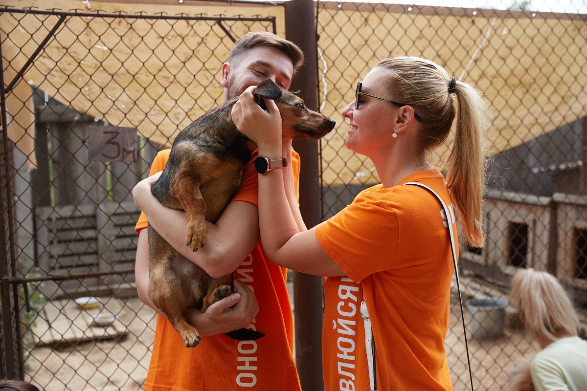 Как животным из приютов помогают найти дом 4