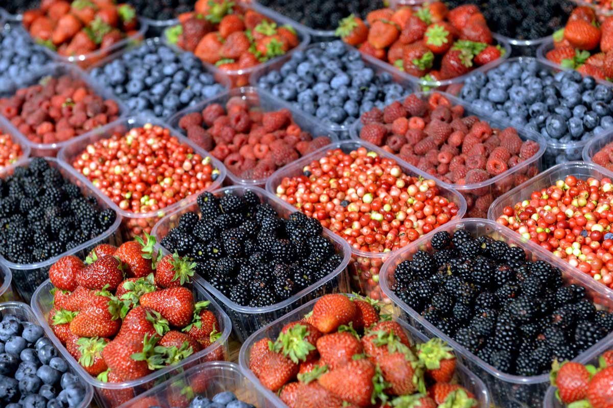 Биоразлагаемая одноразовая посуда – бережное отношение к природе и собственному организму 2