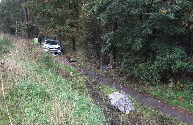 Смертельное ДТП на Кольцевой дороге: Chevrolet от удара в микроавтобус унесло на тротуар, где он сбил насмерть девушку 2