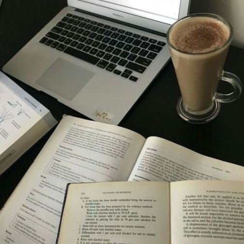 10 школ Киева с обучением на английском языке 1