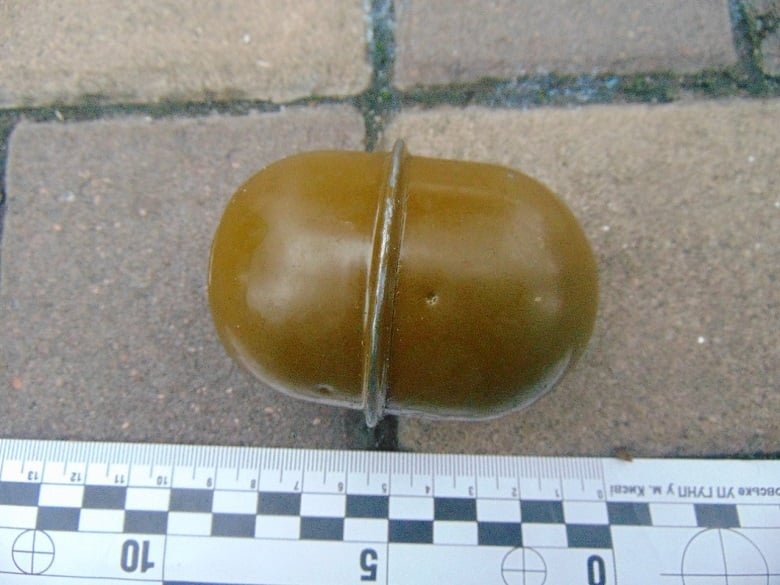 В Киеве по Русановке гулял мужчина с гранатой в кармане 3