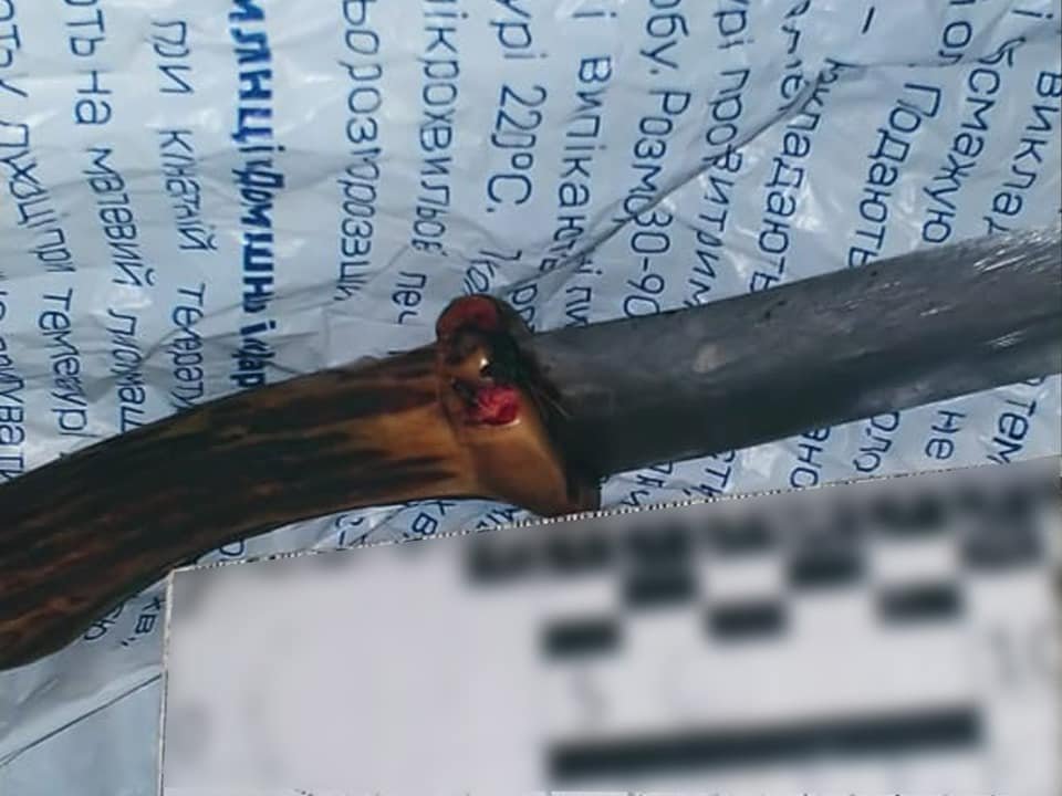 В Чернобыле поймали браконьера, который убил и разделал лося 2