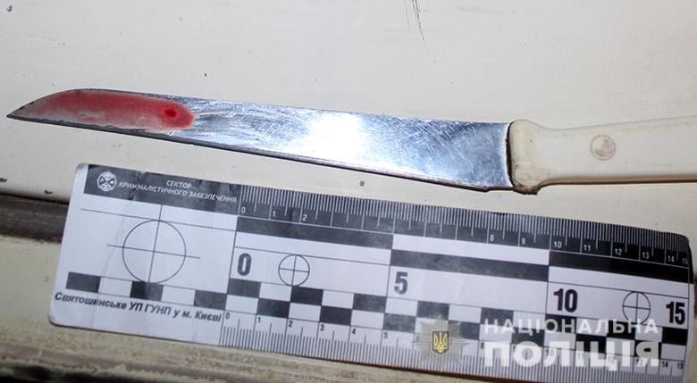 В Киеве во время застолья женщина схватила нож и ударила им мужа в грудь 1