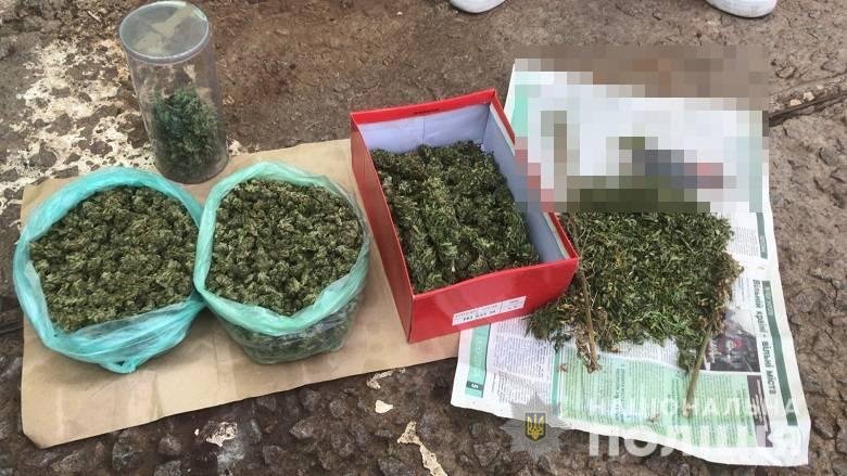 Дед с племянником выращивали и поставляли коноплю в Киев: полиция изъяла наркотиков на 1 000 000 гривен 4