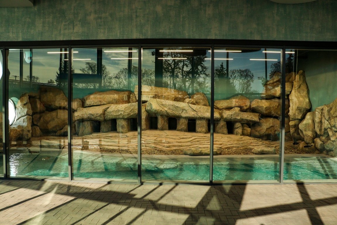 В аэропорт "Борисполь" прилетели пингвины 1