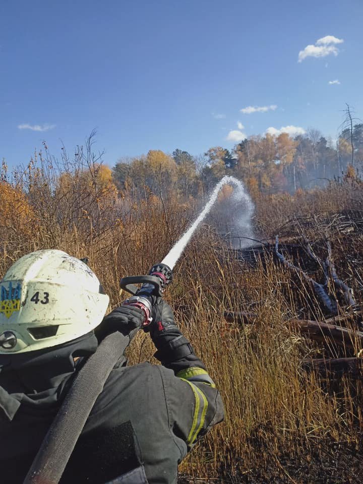 В Киеве несколько часов не могли потушить пожар на открытой местности: горели 10 000 квадратов травы 1