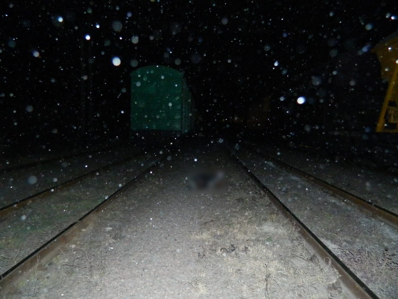 Под Киевом 15-летний парень погиб от удара током, когда пытался перелезть через грузовой поезд 1