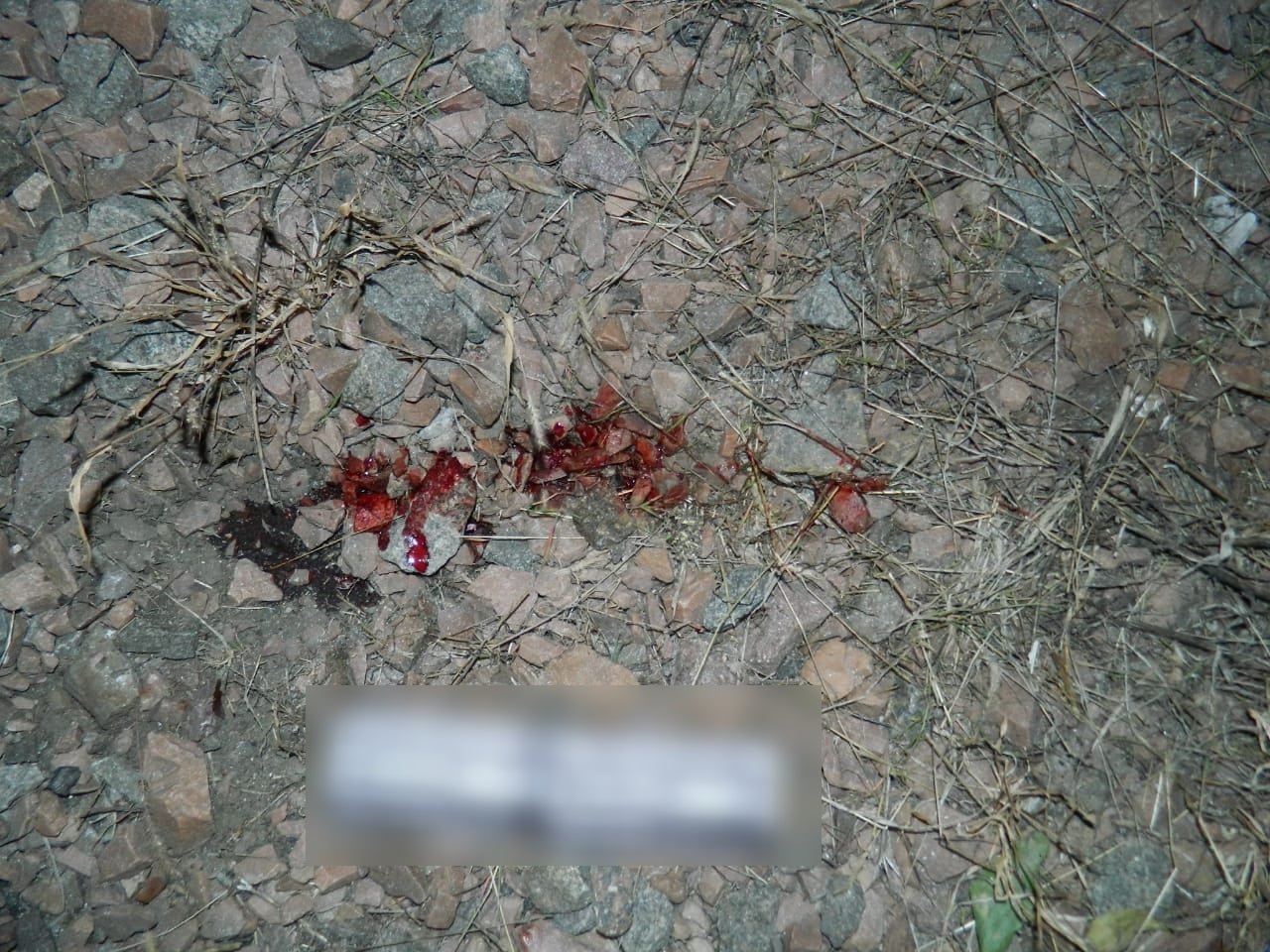 Под Киевом 15-летний парень погиб от удара током, когда пытался перелезть через грузовой поезд 2