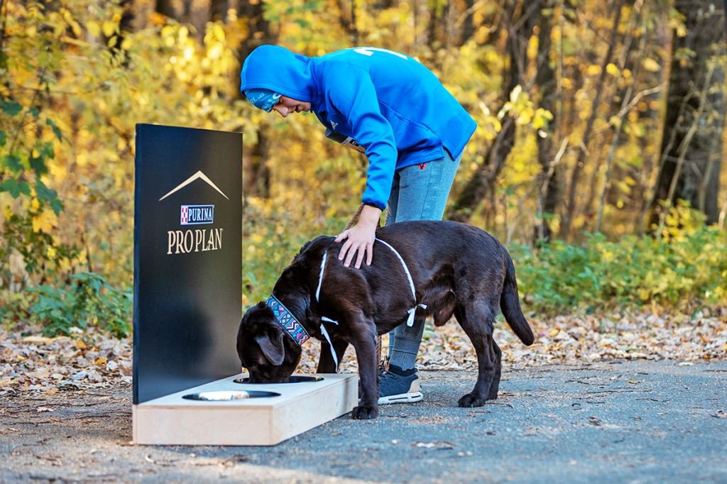 Впервые в Украине участник с диагнозом СМА преодолел марафон.  Как прошел 12-й WIZZ AIR KYIV CITY MARATHON 2021 8