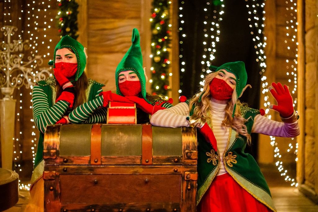 В Киеве ВДНГ превратят в сказочный город: чем удивит "Зимова країна" в этом году 8