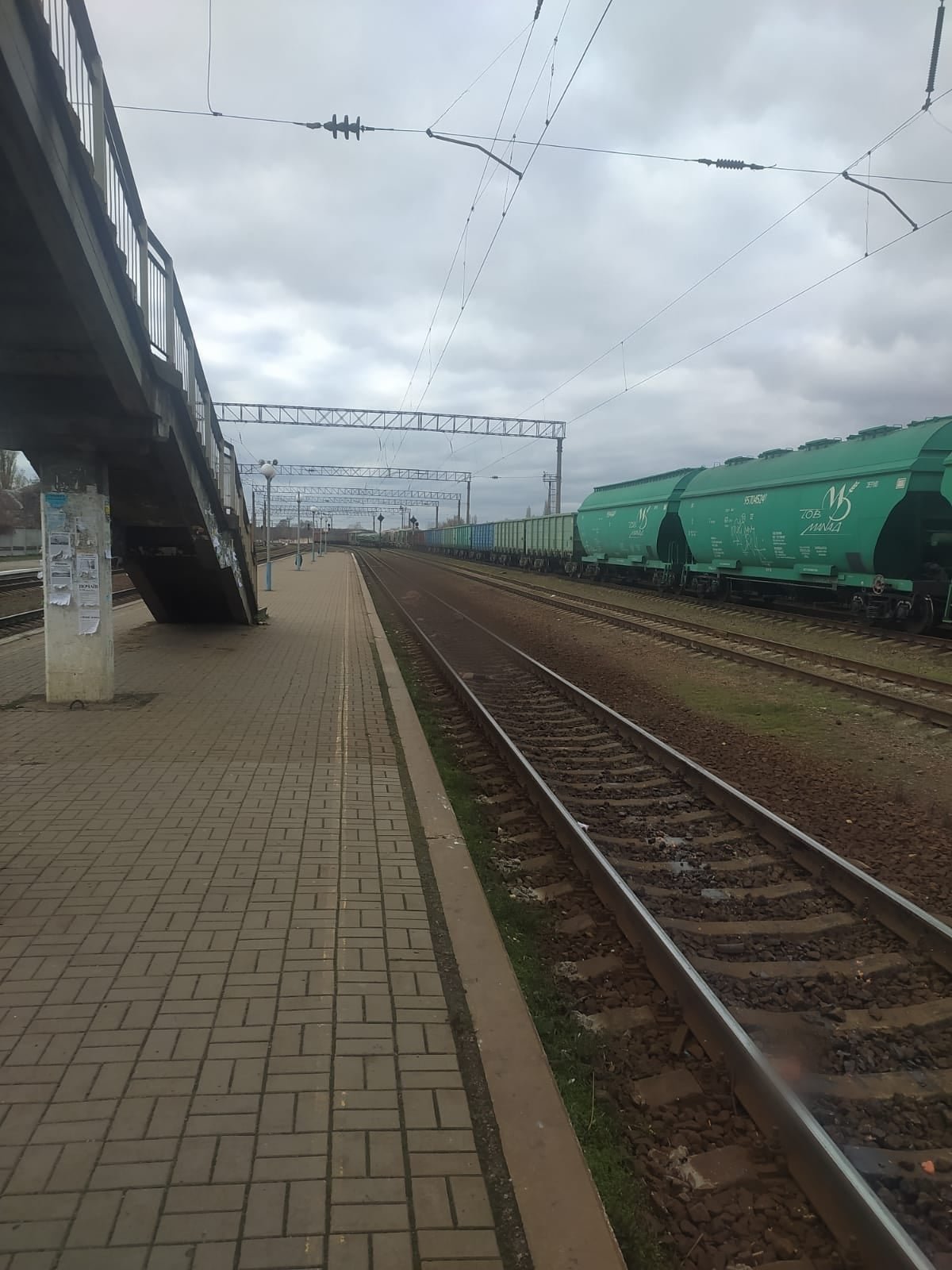 Скоростной поезд "Киев-Харьков" сбил женщину 3