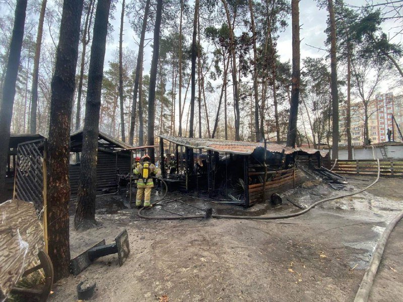 В Киеве загорелся контактный зоопарк 3