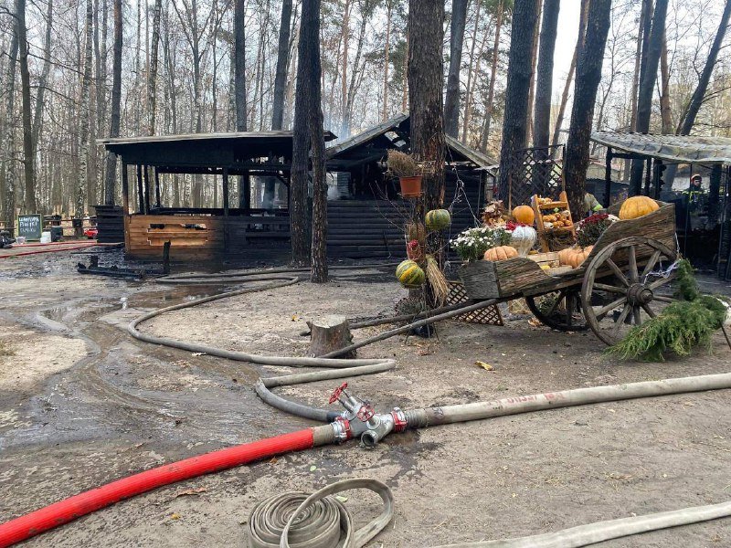В Киеве загорелся контактный зоопарк 4